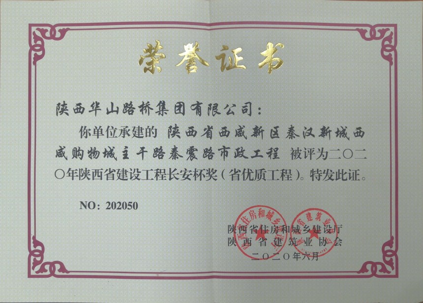 347、2020年陕西省建设工程长安杯（省优质工程）--陕西省西咸新区秦汉新城西咸购物城主干路秦震路市政工程.jpg